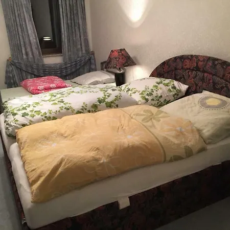 בית אירוח Messe Und Monteurzimmer זנדה